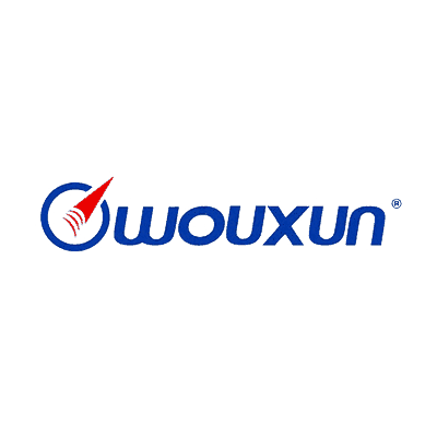 Wouxun Electronics Co. Ltd